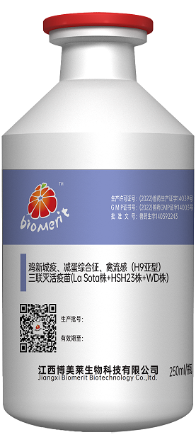 918博天堂·btt(中国游)官方网站